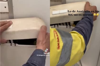 El hombre abrió la tapa de la cisterna y se encontró con 10 ranas en su interior