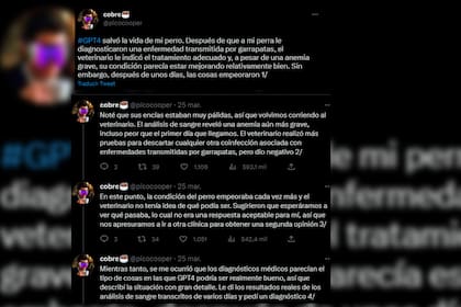 El hombre acudió a la tecnología para salvar a su perro (Captura Twitter)