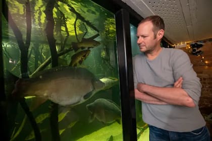 El hombre asegura que puede pasar horas mirando sus mascotas