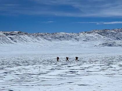 El hombre bajaba la ventanilla del auto para comer nieve