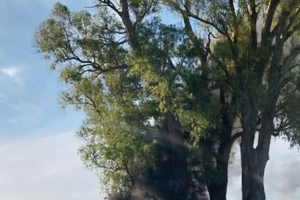 El hombre cometió el femicidio en Monte Maíz y después se mató.