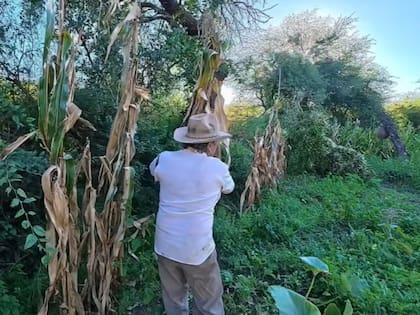 El hombre de 67 años tiene una casa en el campo donde, además de trabajar cultiva sus propios alimentos