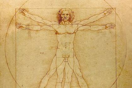 El Hombre de Vitrubio