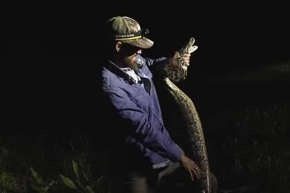El hombre de Florida sostuvo a la pitón, de más de 20 kilos de peso, con sus propias manos y esta peleó hasta el final