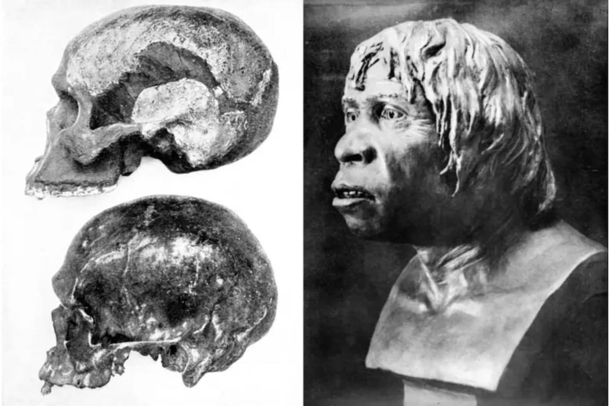 El hombre de Piltdown hizo pensar que la cuna de la humanidad podía estar en las Islas Británicas, pero resultó ser una ingeniosa falsificación, que no se descubrió hasta 1953