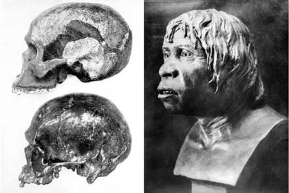 El hombre de Piltdown hizo pensar que la cuna de la humanidad podía estar en las Islas Británicas, pero resultó ser una ingeniosa falsificación, que no se descubrió hasta 1953