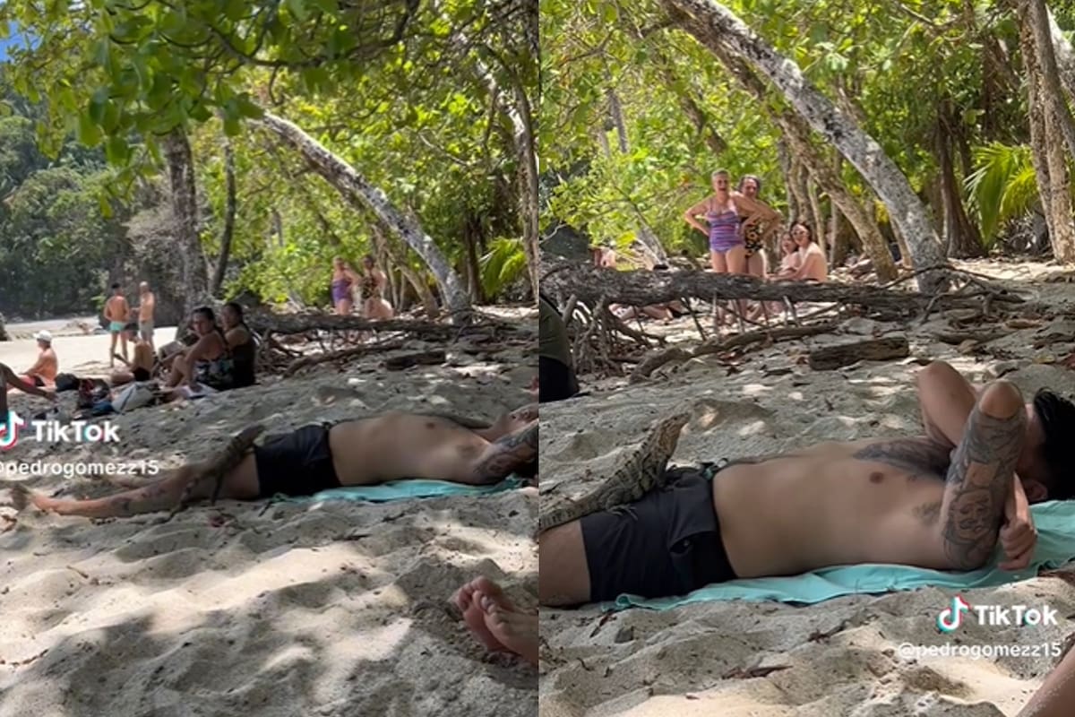 El hombre despertó y vio al reptil encima de sus piernas