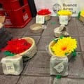 Detuvieron a un hombre chileno que ocultaba pasta base de cocaína en macetas de flores artificiales