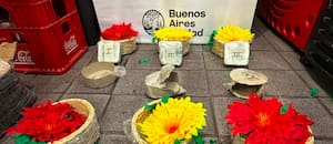 Detuvieron a un hombre chileno que ocultaba pasta base de cocaína en macetas de flores artificiales