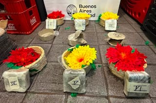 Detuvieron a un hombre chileno que ocultaba pasta base de cocaína en macetas de flores artificiales