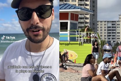 El hombre dijo que se cruzó con una especie que llamó su atención, sin tener idea de lo peligrosa que era