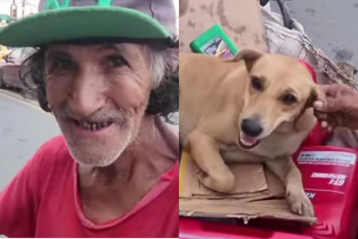 El hombre envió emotivo mensaje sobre su fiel compañera (Foto: @ernestosalazar038)