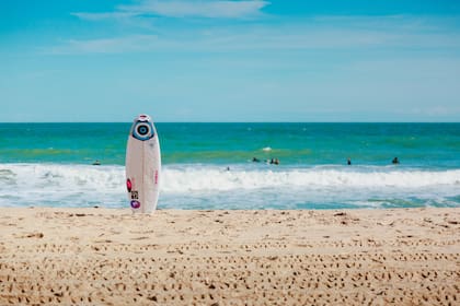 El hombre estaba parado en el agua cuando el tiburón lo atacó (la imagen es ilustrativa)