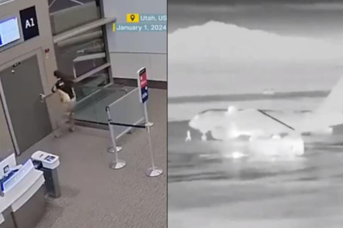 El hombre falleció en una de las turbinas del avión