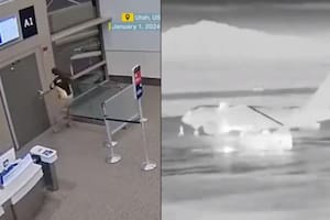 El hombre falleció en una de las turbinas del avión