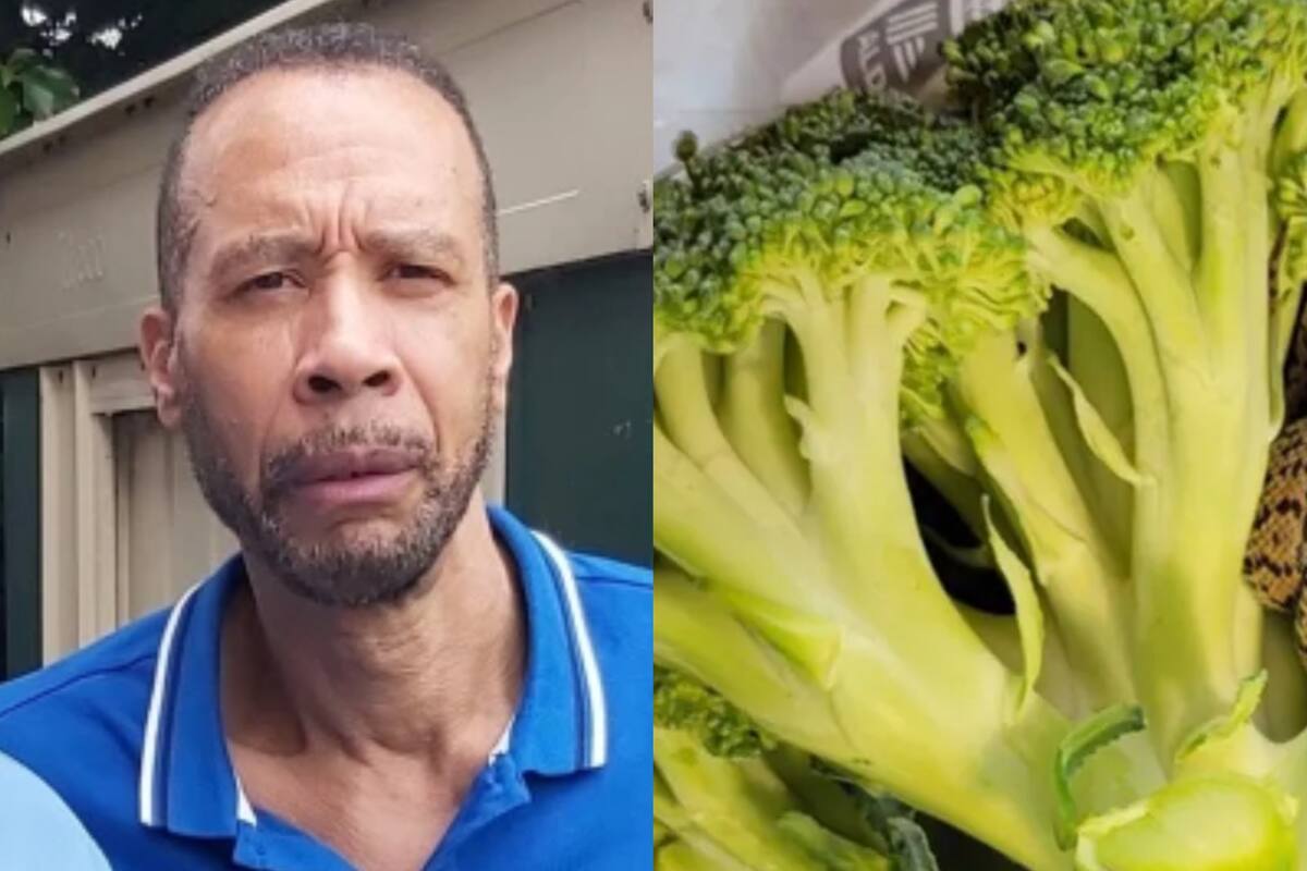 El hombre fue a buscar el brócoli y encontró una serpiente al momento de retirarle el tallo