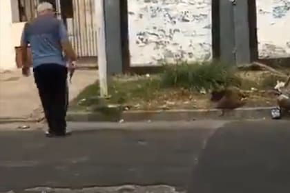 El hombre le disparó al perro, que estaba sentado sobre el cordón de la vereda