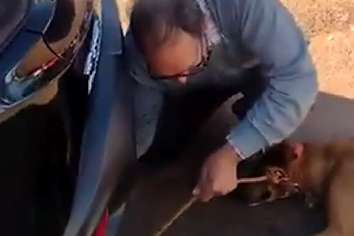 El hombre llevaba el perro atado en la parte de atrás de su camioneta