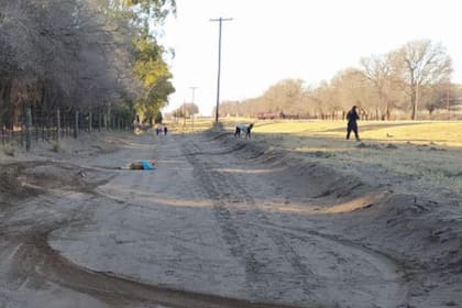 El hombre manejaba un auto rojo y fue detenido tras el crimen del animal