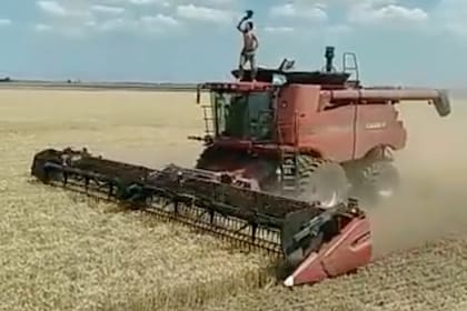 El hombre que festeja mientras la cosechadora sigue con el trabajo