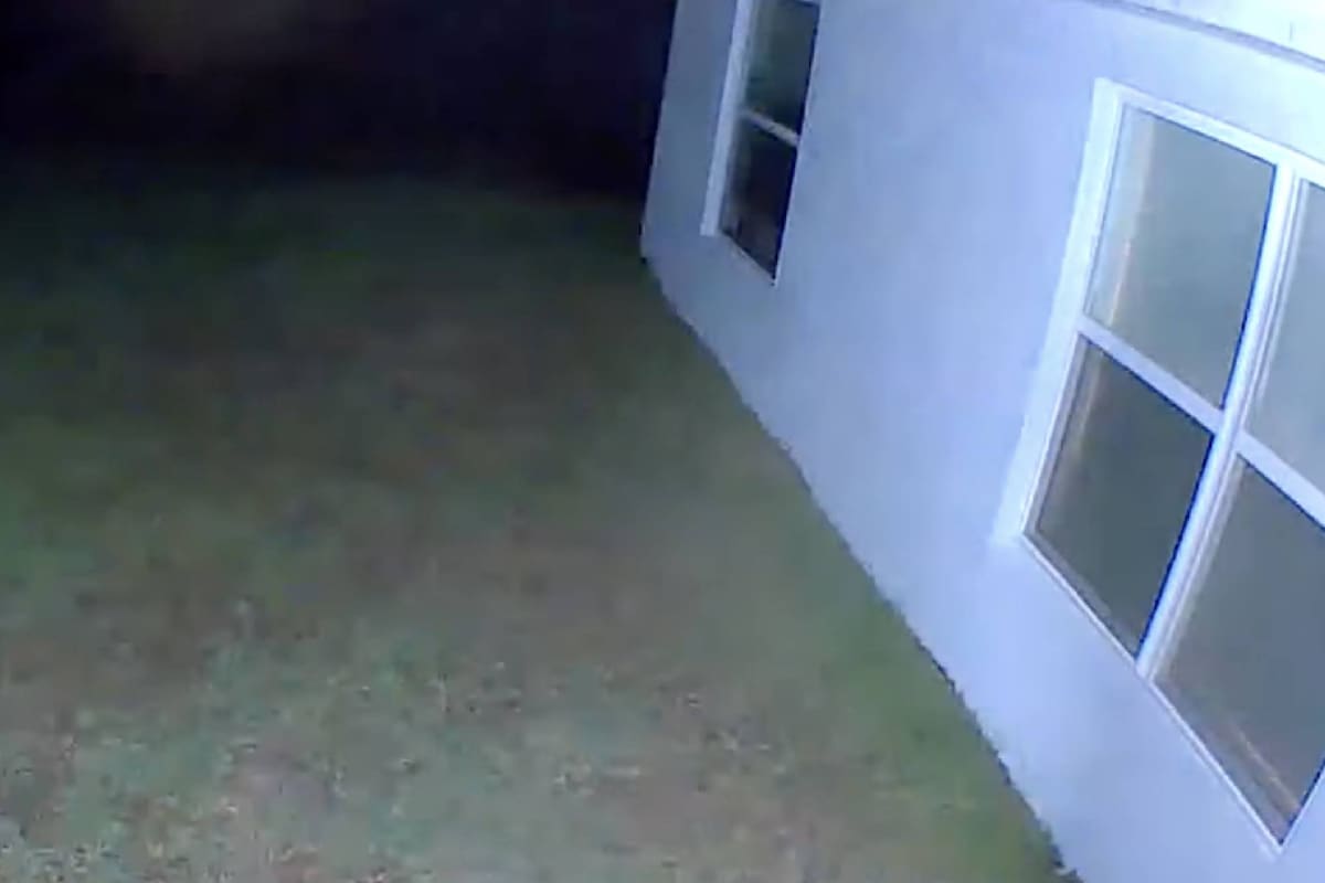 El hombre recibió una notificación de movimiento en su celular, y al ver las cámaras, vio que había algo extraño