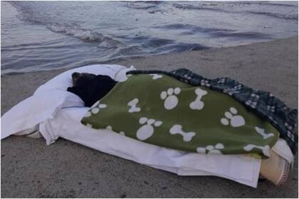 El hombre se despidió de su perrita en su lugar favorito: la playa