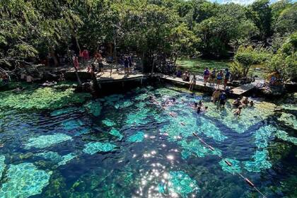 El hombre se lanzó hacia el Cenote Azul y chocó contra una roca (Archivo)
