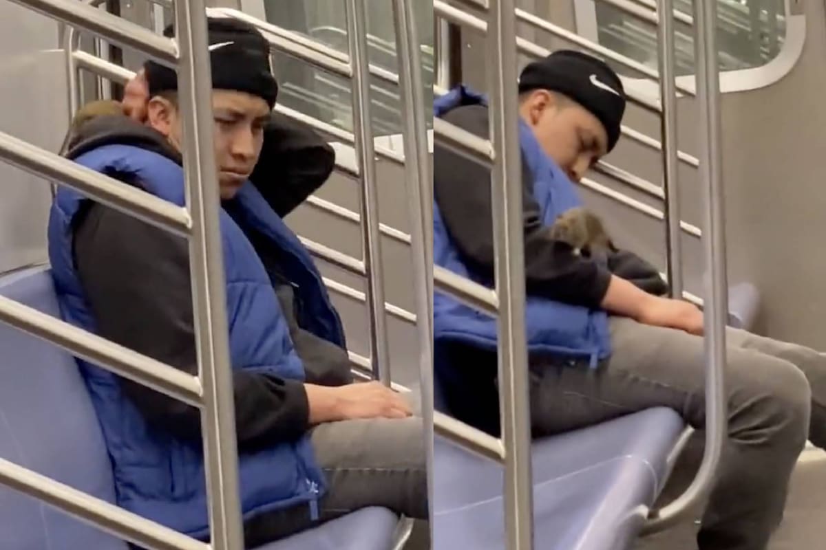 El hombre sintió que una rata caminaba sobre su cuerpo, en el metro de Nueva York, y de inmediato se despertó