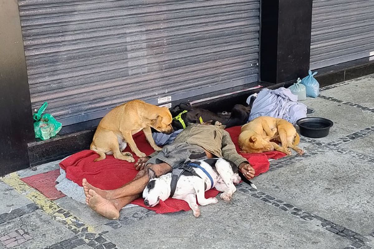 El hombre vive en la calle en Barra de Tijuca, Río de Janeiro, y duerme siempre en el mismo lugar de la avenida Olegario Maciel al 300, acompañado de sus perror.