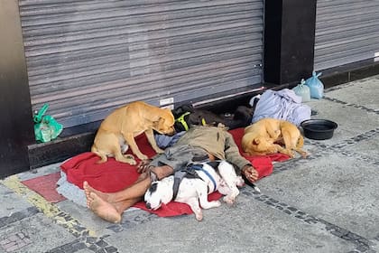 El hombre vive en la calle en Barra de Tijuca, Río de Janeiro, y duerme siempre en el mismo lugar de la avenida Olegario Maciel al 300, acompañado de sus perror.
