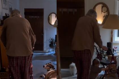 El hombre y su bisnieta se volvieron virales con este video (Captura video)