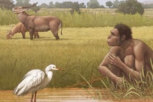 El Homo bodoensis pertenece al periodo Chibaniano