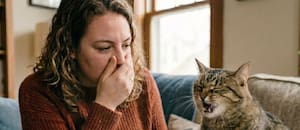 Los gatos pueden contagiar este hongo letal con un solo estornudo