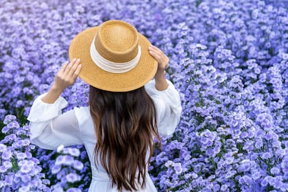 El horario de verano en Estados Unidos comenzará el 9 de marzo de 2025 a las 02.00 hs (hora local), momento en el que los relojes se adelantarán una hora