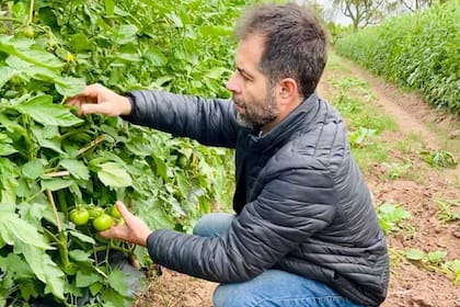 El horticultor comenzó con 2000 plantines