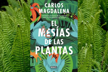 El horticultor español de Asturias fue llamado "el resucitador de las plantas".
