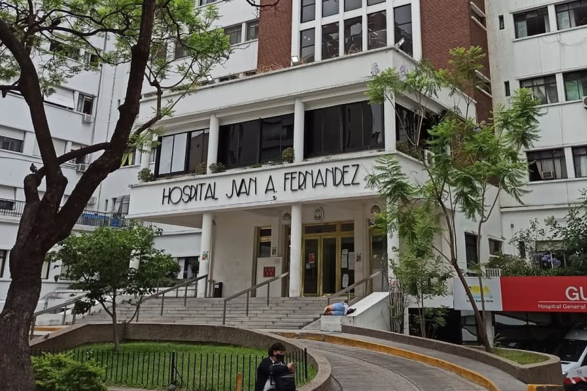 El hospital Fernández es un centro de referencia en la Ciudad (Foto: Instagram)