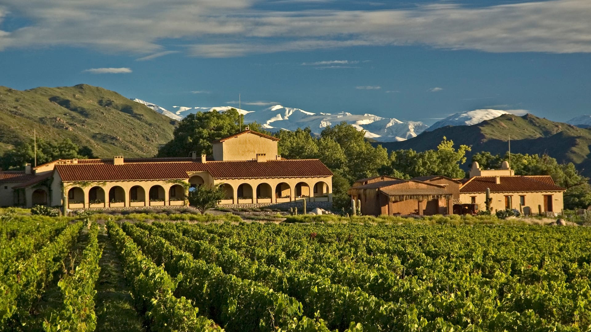 A cinco horas de Salta capital, en el corazón de los Valles Calchaquíes, se levanta Colomé: la bodega más antigua del país y uno de los proyectos vitivinícolas más altos del mundo