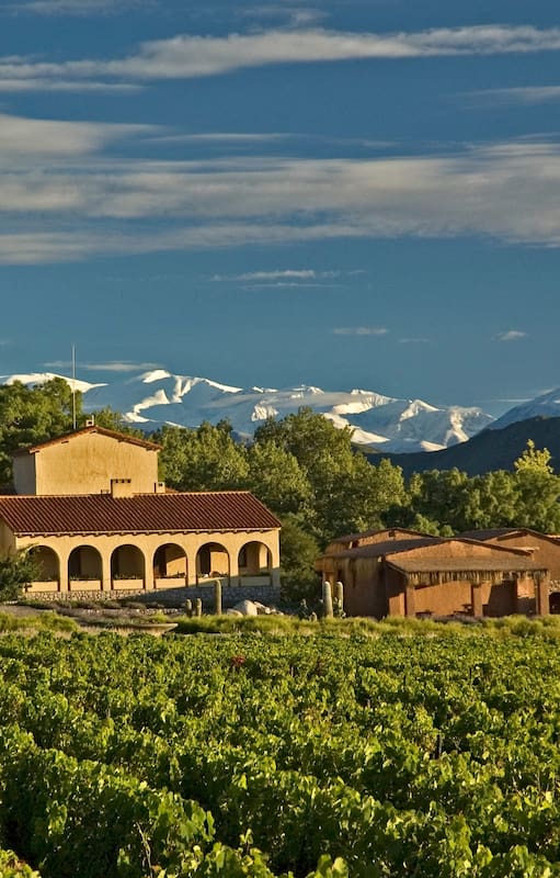 A cinco horas de Salta capital, en el corazón de los Valles Calchaquíes, se levanta Colomé: la bodega más antigua del país y uno de los proyectos vitivinícolas más altos del mundo