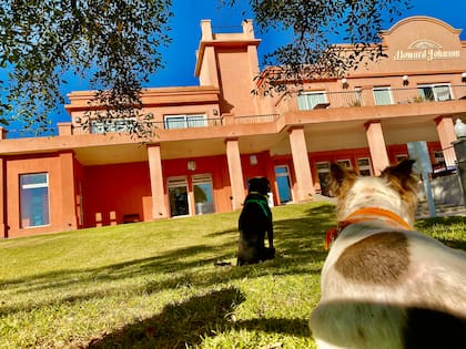 El Hotel Howard Johnson, está justo frente a la laguna de Chascomús, a 115 km de Buenos Aires