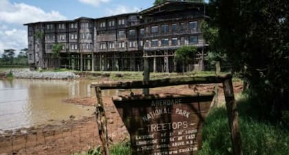 El hotel selvático donde se alojaba la princesa Isabel en su viaje a Kenia. En la noche del fallecimiento de su padre, se encontraba avistando animales en una cabaña que colgaba de un árbol.