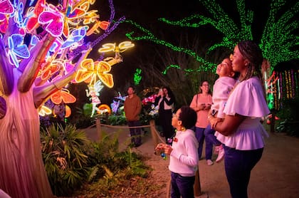 El Houston Zoo recibie miles de visitantes para disfrutar de los senderos iluminados