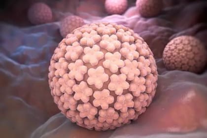 El HPV es responsable de más del 95% de casos de carcinoma de cérvix