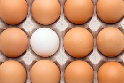 El huevo de gallina es una de las grandes fuentes de vitamina B12