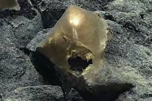 El huevo dorado fue encontrado cerca de un volcán submarino, en el Golfo de Alaska, a 400 kilómetros de la costa y a tres kilómetros de profundidad