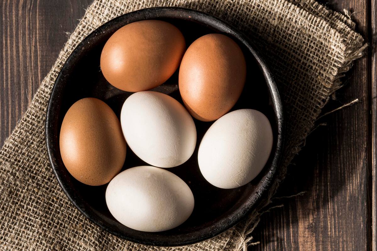 El huevo es un alimento altamente nutritivo y versátil, que ofrece numerosos beneficios para la salud (Foto ilustrativa: Freepik)