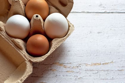 ¿El huevo? La pregunta sobre el origen de uno u otro develó a la ciencia por años