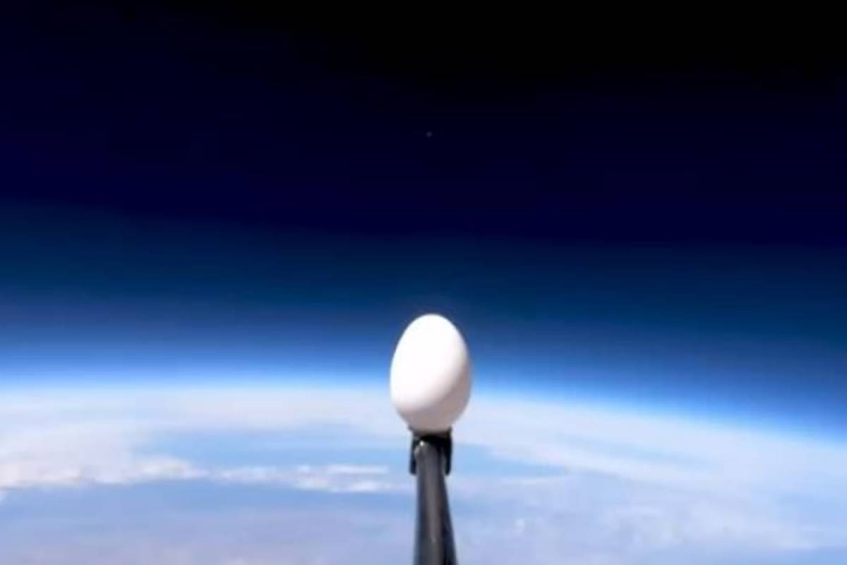 El huevo subió hasta los 30 kilómetros de altura y cayó a la tierra y el resultado fue sorprendente