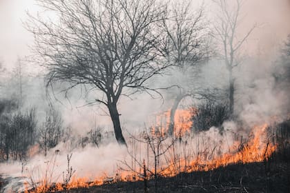El humo de los incendios puede ser muy perjudicial (Foto: Archivo LN)