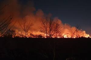 El humo, que se pudo ver desde toda la ciudad, generó alerta en la población